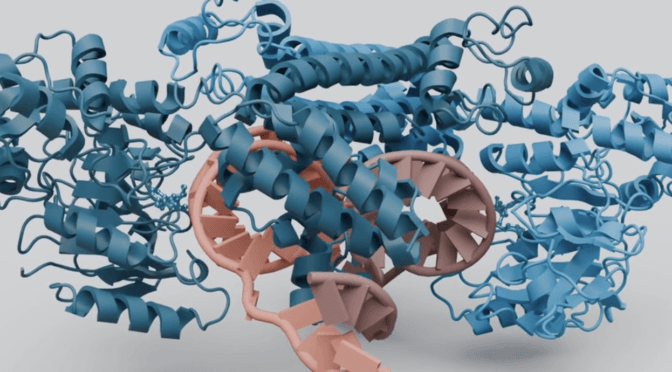 three-dimensional structures of protein-drug complexes